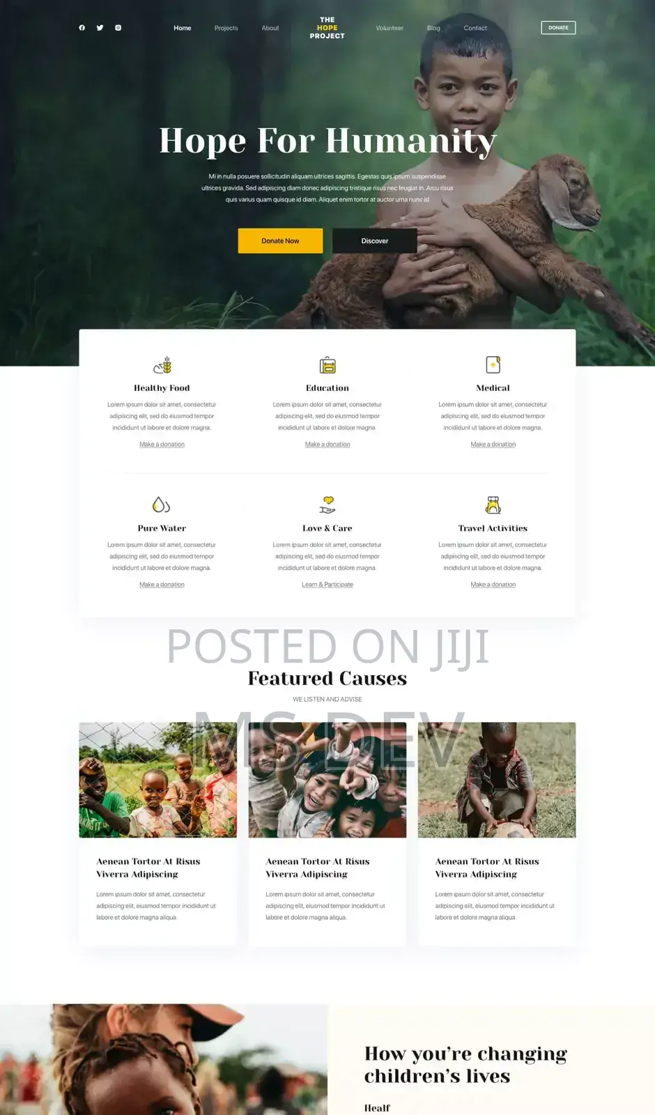 Website Developer