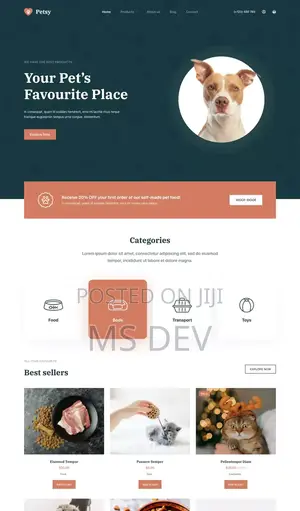 Website Developer