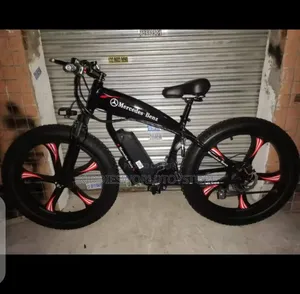 Electric Adult Bicycle