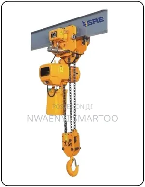Electric Chainblock 2ton