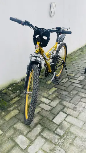 Eastman Adult Bicycle