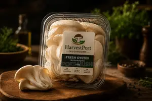 Oyster Mushroom