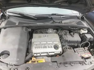 Lexus RX 330 2005 Gray