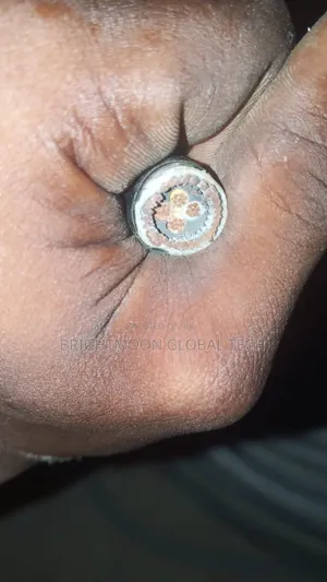 2.5mm 4core Armored Cable