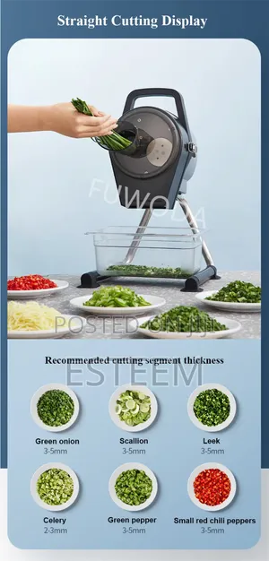 Commercial Vegetable Multifunction Cutter