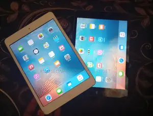Apple iPad mini 1 16 GB Gray