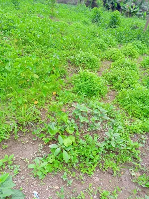 1.04hectare Commercial Land at Jabi Main