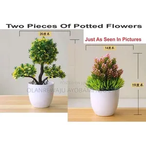 Potted Flowers 2 Pieces