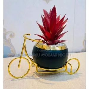 Unique Potted Plant Decoration