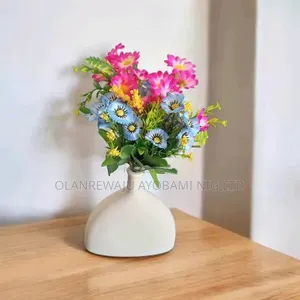 Beautiful Decoration Potted Flower