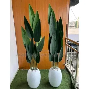 Flower and Vase