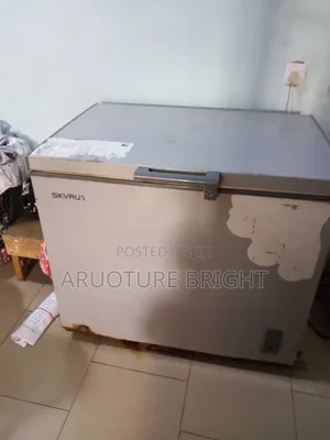 Skyrun Deep Freezer
