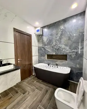 Plumbing Services Affordable For Home And Businesses