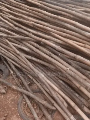 Br Bamboo Thick Long