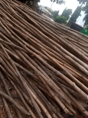 Goal Thick Bamboo