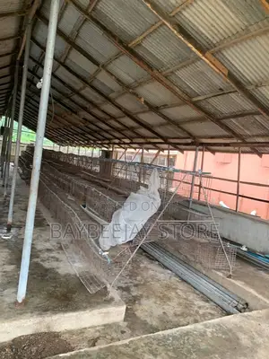 Poultry Cage Foe Sale 20 Unit
