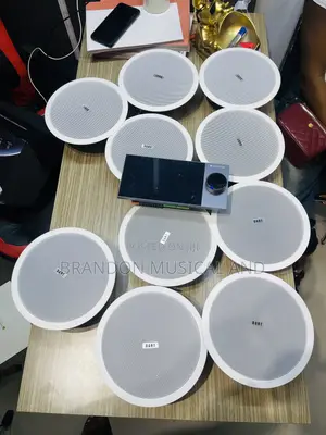 40 Watts Ceiling Speaker/ Alexa Smart Home Bundle