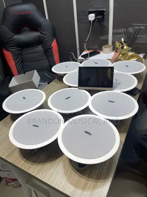 Bluetooth/ Android 40 Watts Ceiling Speaker Bundle