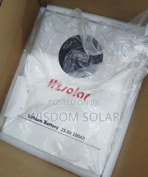 Hzsolar 2.5kwh Lithium Battery 24v