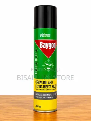 Baygon Insecticide - 300ml