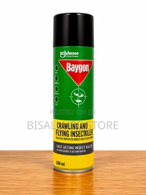 Baygon Insecticide - 500ml