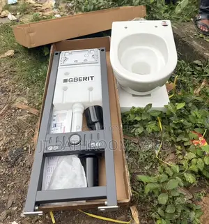 Geberit Wall-Hung Toilet System - Executive Conceal Wc