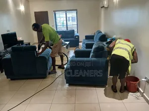 Sofa Cleaning