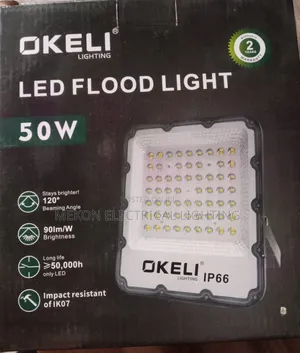 50 Watt Flood Light