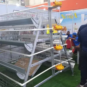 Battery Cages for Layers Birds 