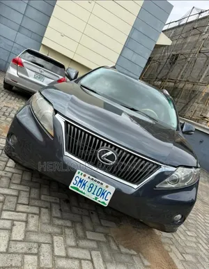 Lexus RX 2010 Gray