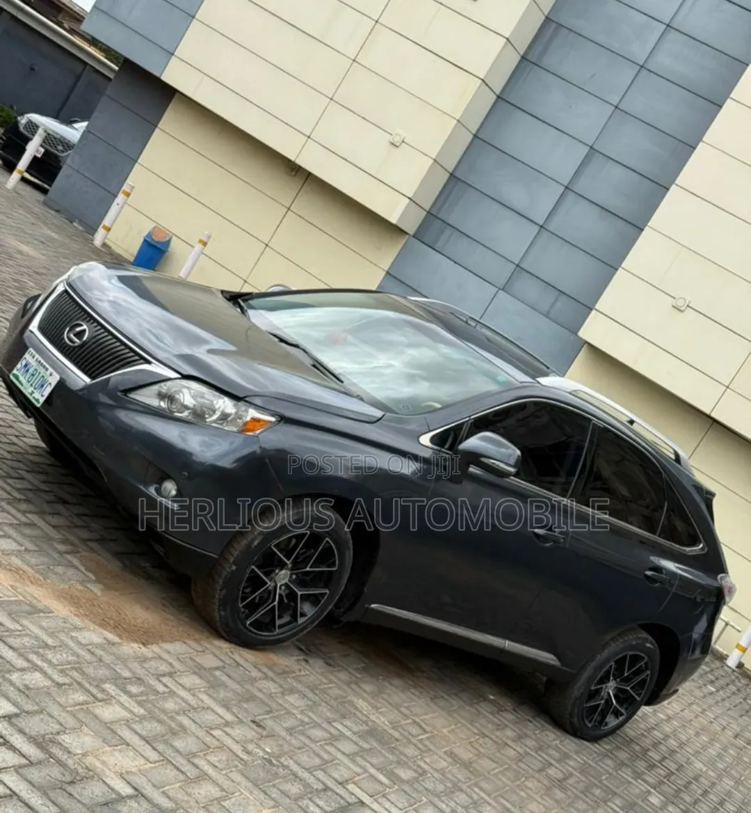 Lexus RX 2010 Gray