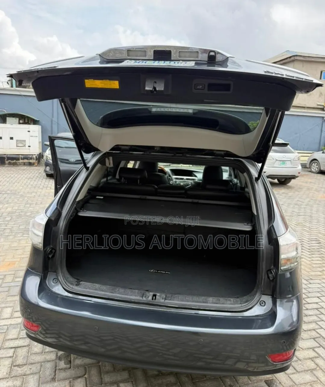 Lexus RX 2010 Gray