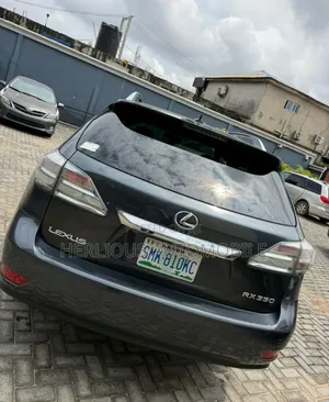 Lexus RX 2010 Gray