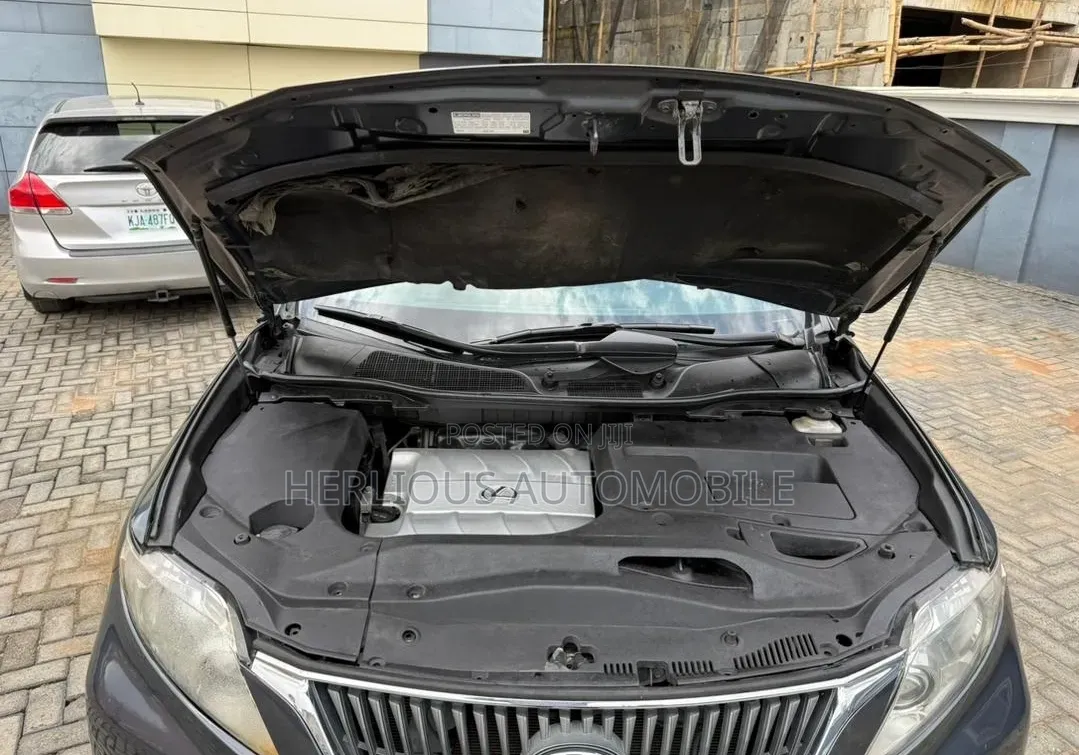 Lexus RX 2010 Gray