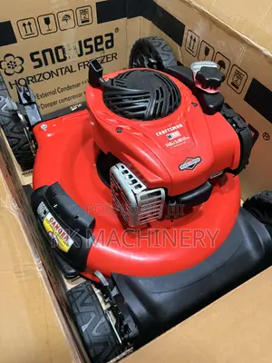 Lawn Mower Equipped With a 140cc Briggs Stratton Engine.