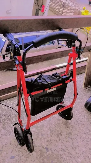 Adult Mobile Walking Aid Wheelchair