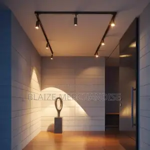 20 30 40 Watt Warm White Led Track Light/Spot Light/Picture Light