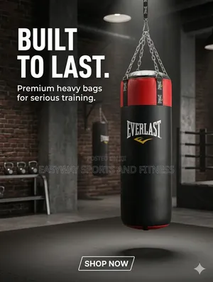 Everlast Punching Bag