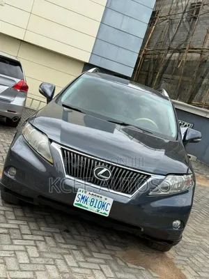 Lexus RX 2010 Gray