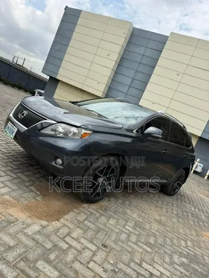 Lexus RX 2010 Gray