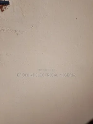 Professional Painter