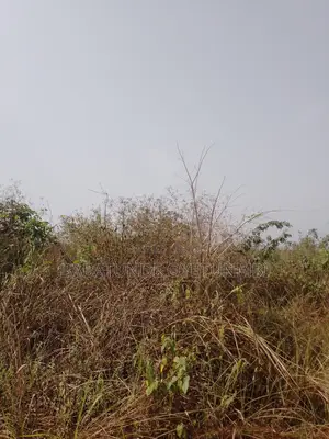 Agricultural Land