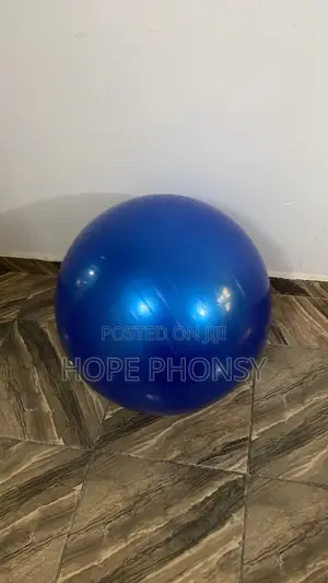 Gym or Yoga Ball