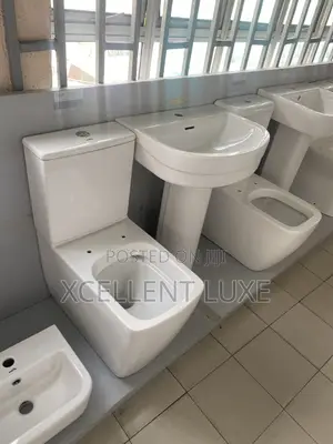 Imex Executive Wc With Wash Hand Basin