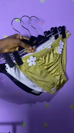 Silk Panties