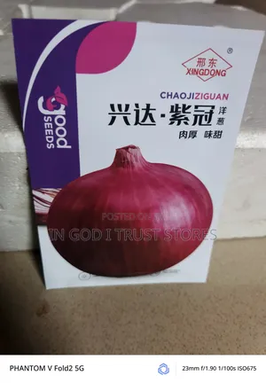 Red Onion Seed