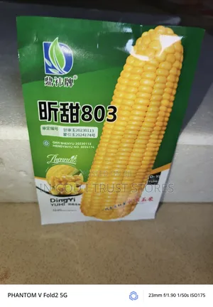 Sweet Corn Seeds
