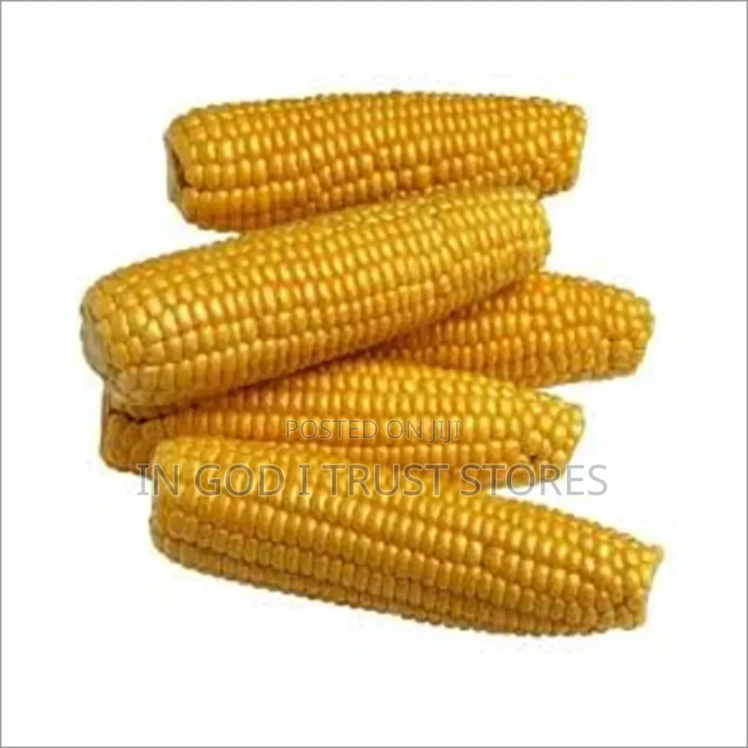 Sweet Corn Seeds
