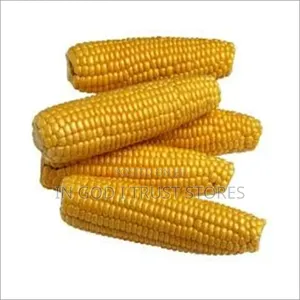 Sweet Corn Seeds