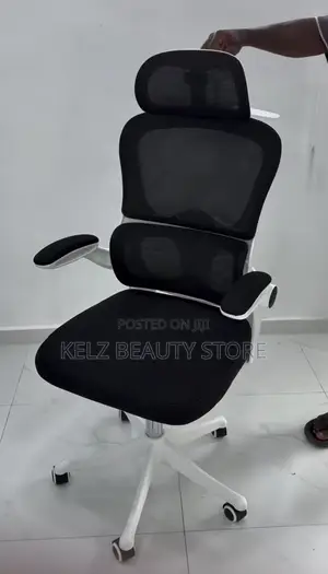 Ergonomic Office Chair
